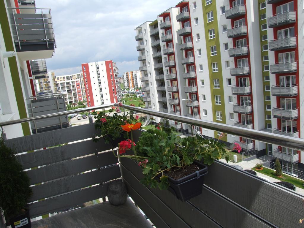 Anca Apartment Brasov Exterior photo